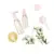 BOTLLE TO TRAVEL SET 5PCS JZ-180603