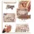 PALETA DE SOMBRA DE 39 COLORES  GLAMOUR RC6911 – ROMANTIC COLOR