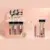 LAPIZ LABIAL + LABIAL LIQUIDO MATTE RB304 – ROMANTIC BIRD